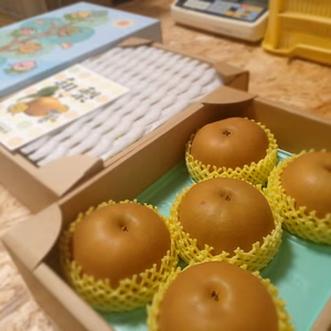 ラスト２箱　R7AA3 【贈答用】あきづき　3Kg(5.6玉入り)