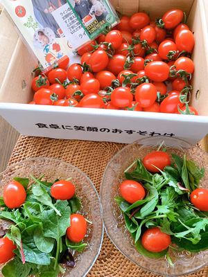 みんなの投稿の画像