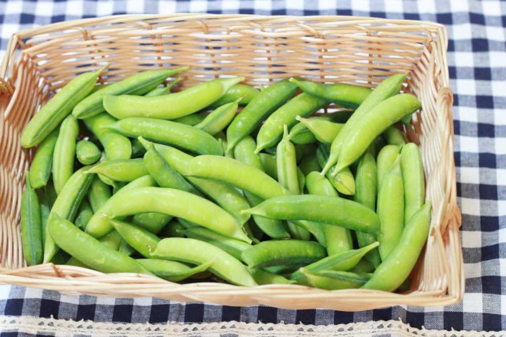 関西の春を味わい味わい うすいえんどう｜野菜の商品詳細｜ポケット