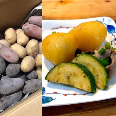 みんなの投稿の画像