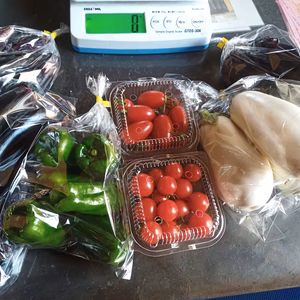 夏野菜詰め合わせ