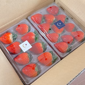 朝採れとちあいか　いちご生産量日本一の街からお届けします★