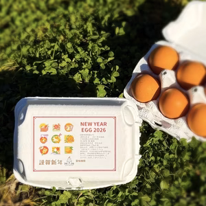 【福袋2026】❗新年初産❗️元旦宮タマ《赤》×36個※1月1～3日発送※