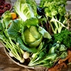 ８月の野菜がよろこぶ野菜BOX Mサイズ農薬,化学肥料不使用