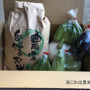 【限定10名】少しキズあり夏野菜セット5kg