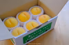 8月~ まるで南国フルーツの様な味わい【黄金桃】家庭用 ３~9玉 1.5kg