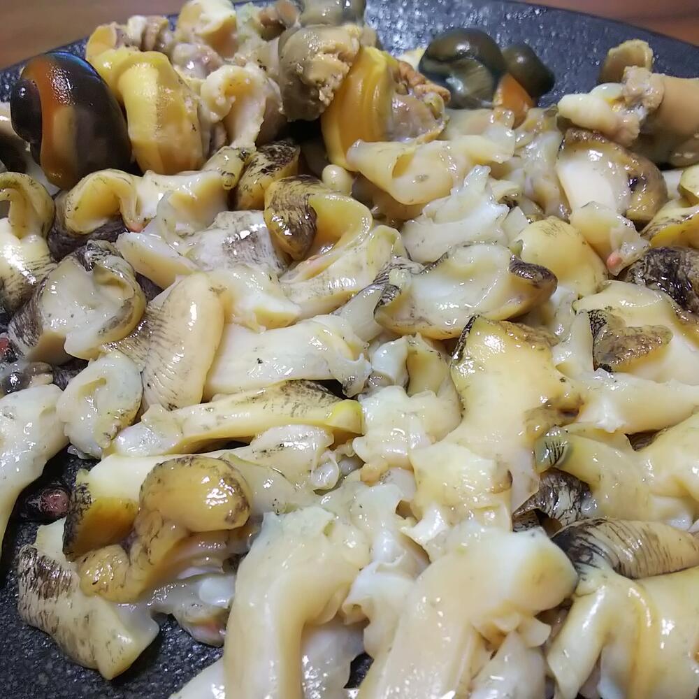 北海道 噴火湾青つぶ4kg qに最適 掛村漁業部 陽楊屋 農家漁師直送のポケットマルシェ