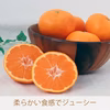 吉本農園の濃く美味みかん