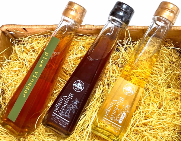 【環境とカラダにやさしい】ブルーベリーと梅の飲むお酢 ３色セット