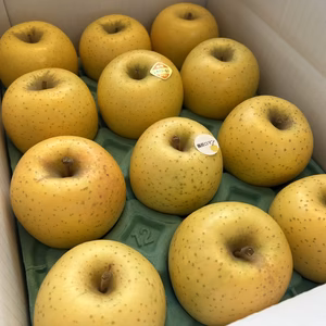 【ロマンシリーズ】　藤原ロマン　家庭用小玉 約3kg（11～14玉）