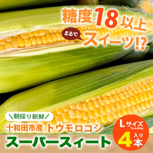 十和田産　とうもろこし【スーパースィート】