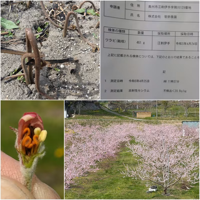 みんなの投稿の画像