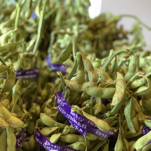 《令和5年産》贅沢！丹波黒枝豆！能勢町産