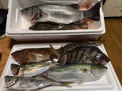 みんなの投稿の画像