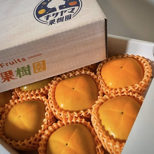 ひらたねなし柿 A級スペシャルパッケージ（ホワイト箱）2L以上 9から12個入り