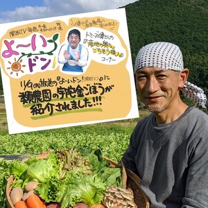 ★農家の拘り詰合わせ★旬の高原野菜セット（有機、農薬不使用）「S・M・L」