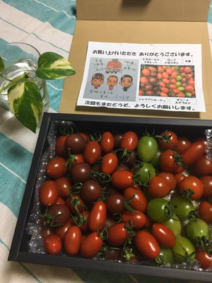 みんなの投稿の画像