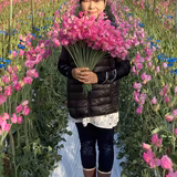 新名加津代 | 新名農園