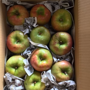 家庭用グラニースミス3kg箱　加工向き　簡易包装発送