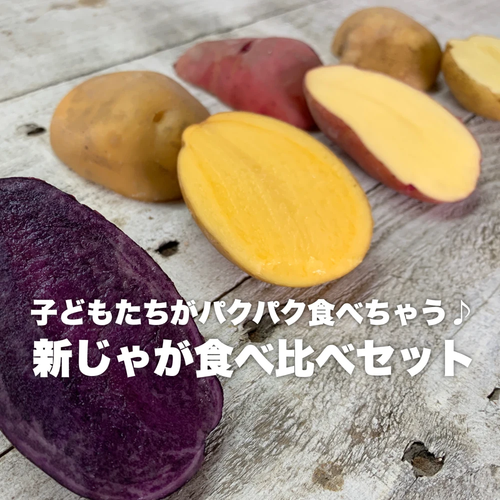 子どもたちがパクパク食べちゃう♪旬の新じゃが５種セット
