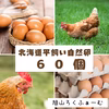 【北海道平飼い自然卵】純国産鶏もみじ６0個入り（５４個＋破卵補償分６個含む）