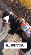 モカ様専用です。