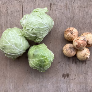 ミニミニ野菜セットミニ玉ねぎとミニキャベツ