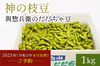 【ポケマルの夏ギフト】【早期予約20％増量中】R５年8月「神の枝豆」だだちゃ