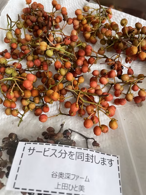 みんなの投稿の画像