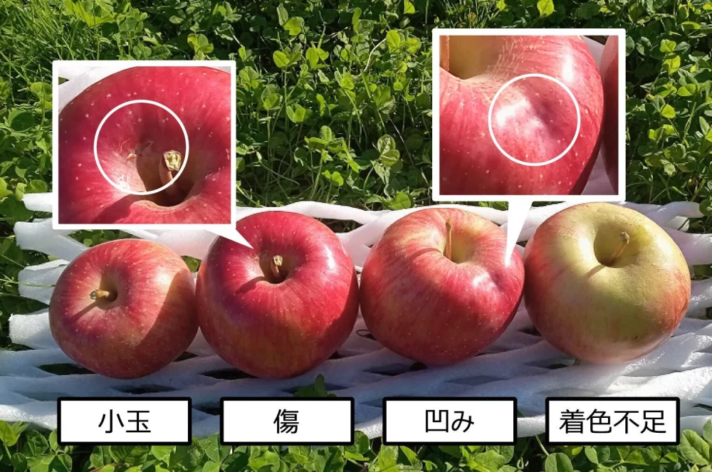 【家庭用】ほぼ葉取らず　サンふじ　約5kg（バラ箱詰め）　山形県大江町産