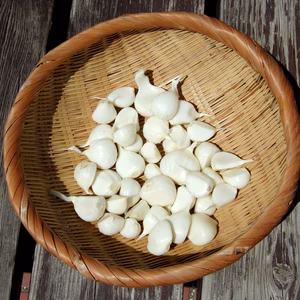 ニンニク　バラ　250ｇ程度　国産　茨城　クリックポスト