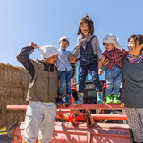 吉村志織 | sea farm