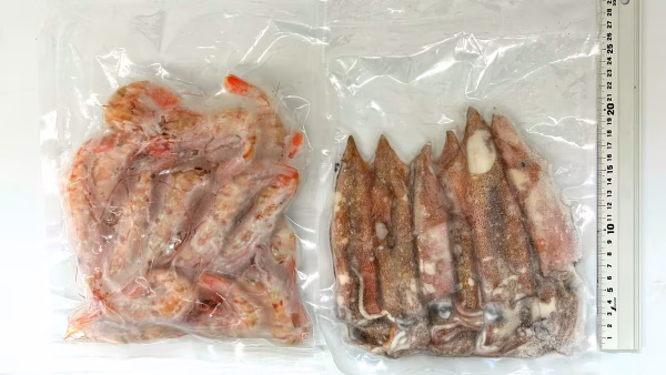 【−60℃冷凍】限定６個！ボタンエビ500g&中ヤリイカ500gセット！！