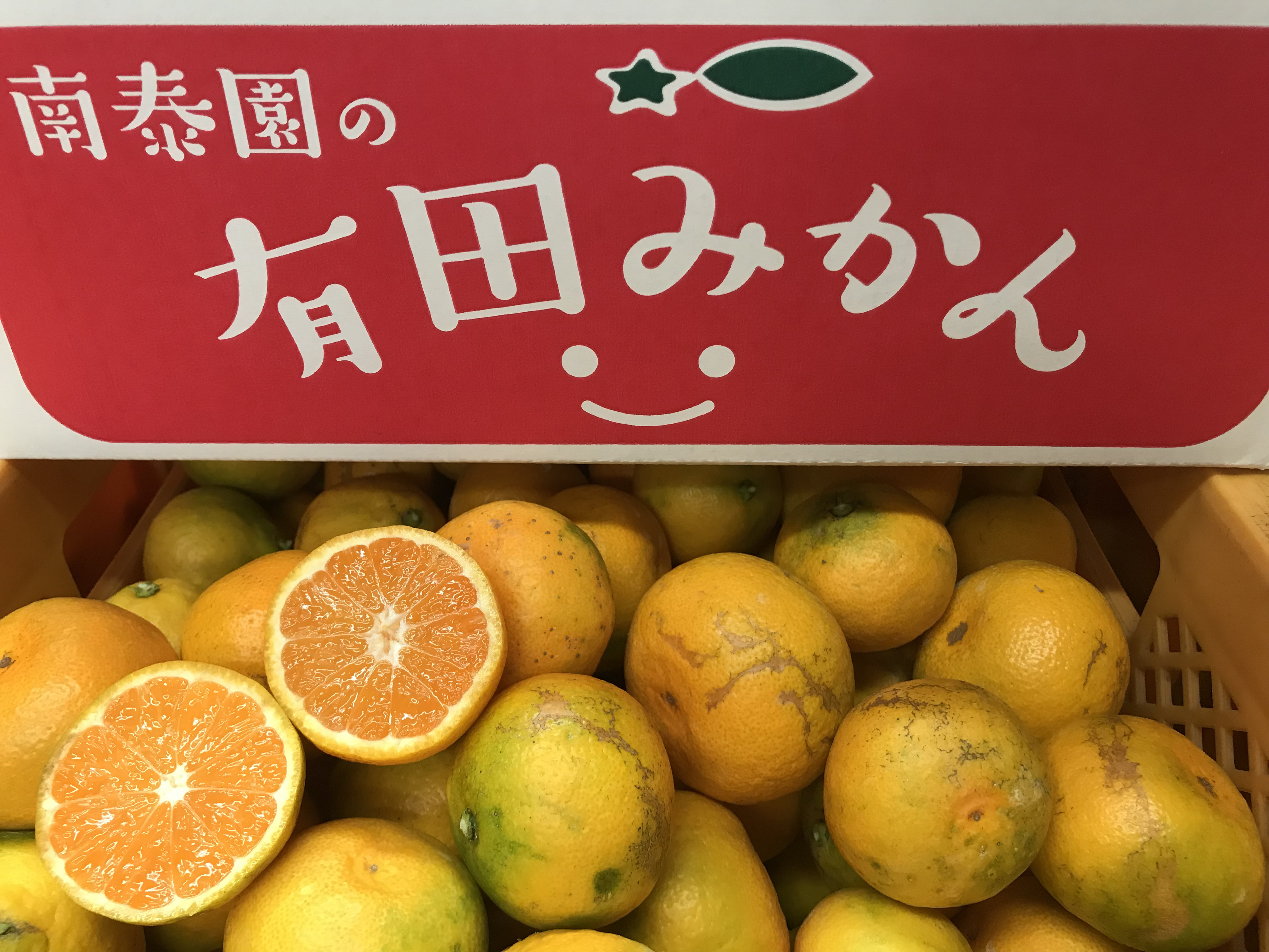 ちょっと傷あり[極早生・有田みかん]SまたはSSサイズ/5kg[南泰園] 傷あり二級品:正味5kg