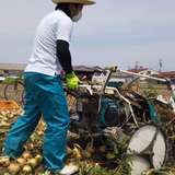 藤本誠志 | ふっちゃんファーム