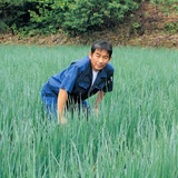 森本茂仁