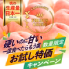 日テレ『ニノさん』出演で話題！本場山梨の味『硬甘桃』硬く硬くても甘い新常識