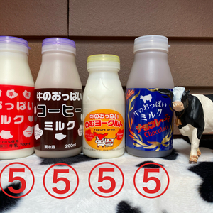 ミルク5本、コーヒー5本、のむヨーグルト5本、チョコレート5本