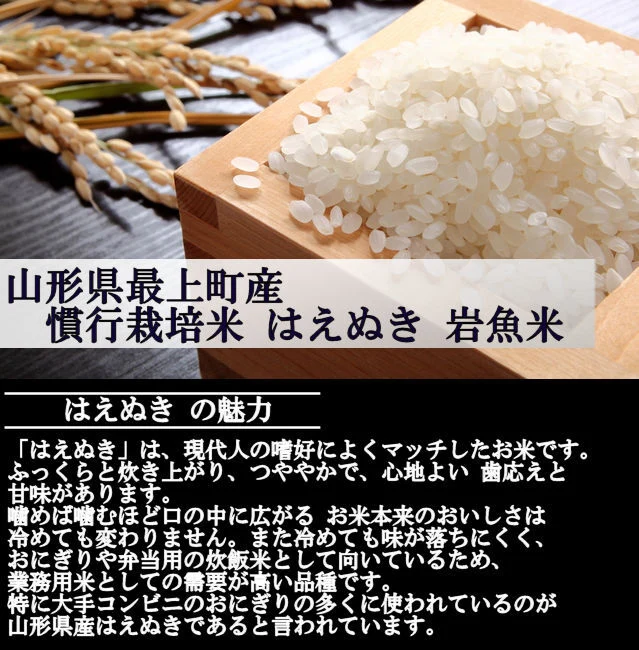 【山形県産】慣行栽培米 はえぬき 岩魚米（白米20kg 令和４年産）