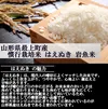 【山形県産】慣行栽培米 はえぬき 岩魚米（白米10kg 令和４年産）