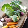 [貴山農園]季節の野菜セット