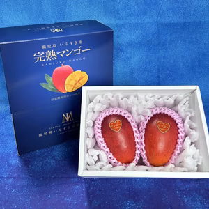 鹿児島県指宿産 完熟 マンゴー 2玉入り800g（約400g/1玉）化粧箱入
