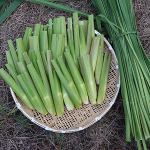 今が旬です・マコモダケ2kg入り