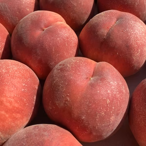 南信州『あかつき』桃の王道品種✨果汁たっぷり朝採りの桃贈答品