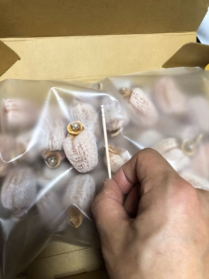 みんなの投稿の画像