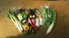 私たちの畑からみんなの食卓へ♪新鮮野菜セット 大size（毎週）