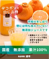 無添加 不知火 しらぬい ジュース 720ml【賞味期限2026年3月6日】