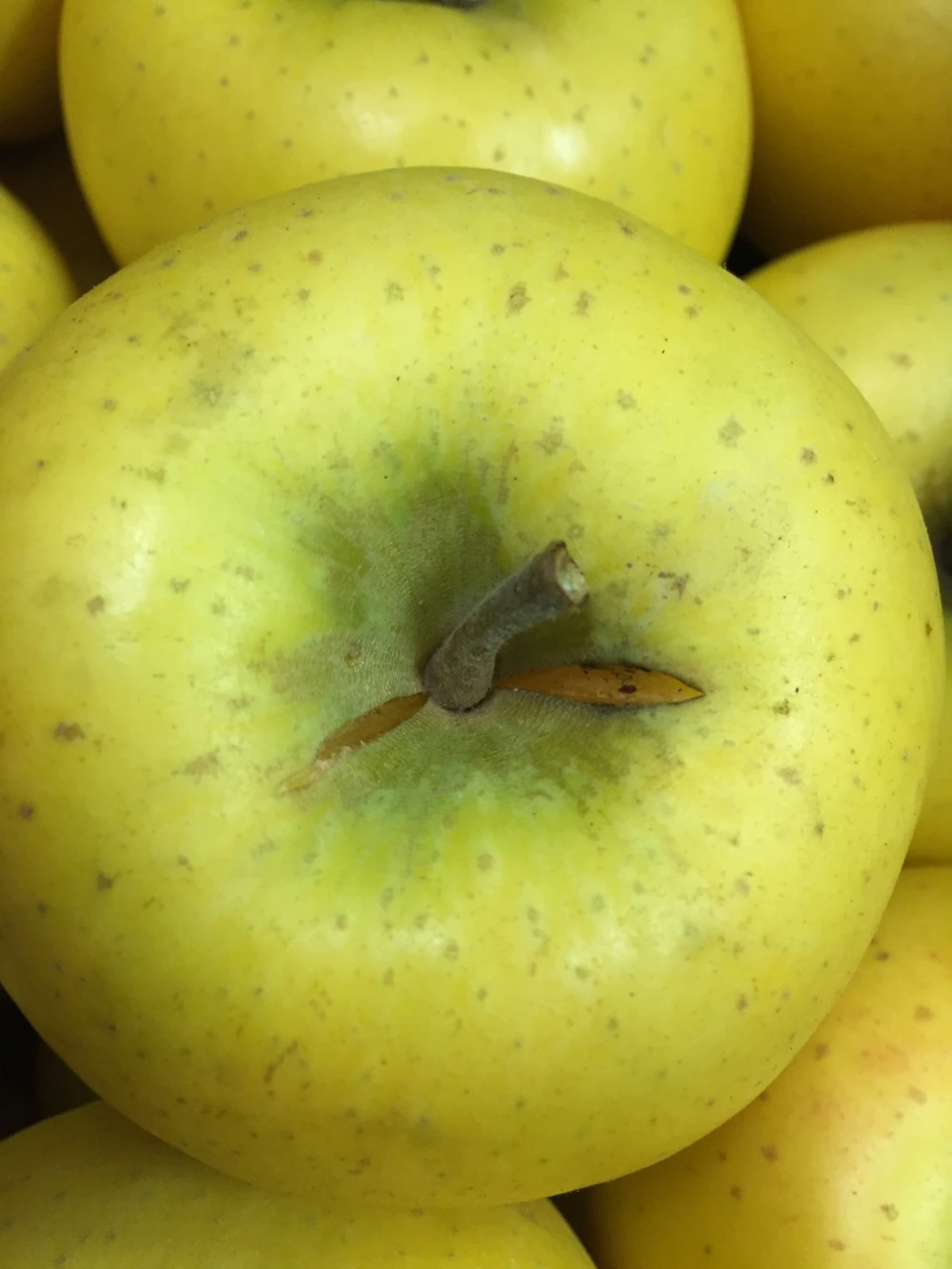 りんご【訳あり】葉とらずりんご シナノゴールド20kg×2箱
