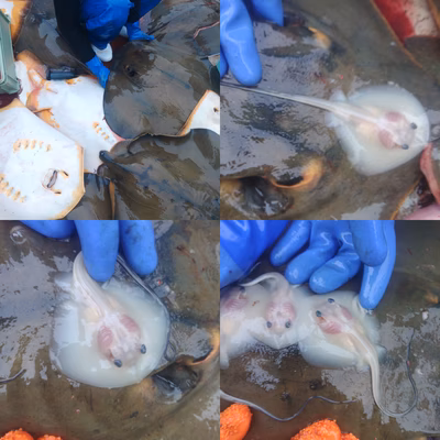 みんなの投稿の画像