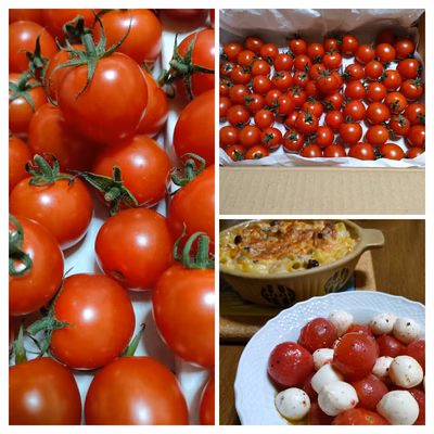 みんなの投稿の画像